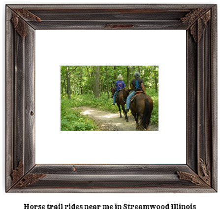 horse trail rides near me in Streamwood, Illinois